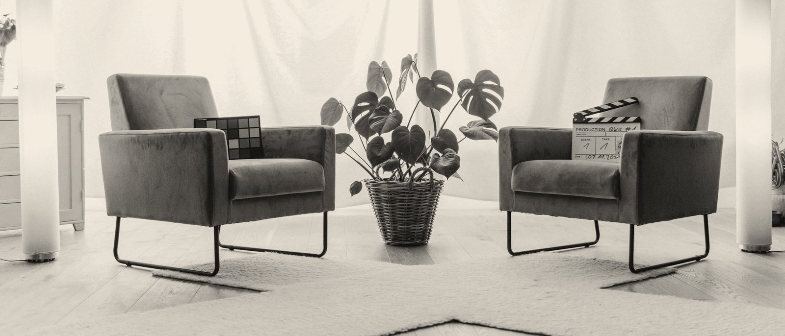 Interview set with two armchairs, a plant and floor lamps